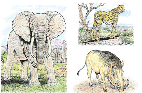 Examples of colored pages from this book.