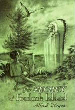 Book cover: 'The Secret of Pooduck Island'