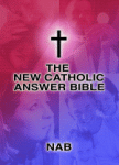 Book cover: 'The New Catholic Answer Bible'